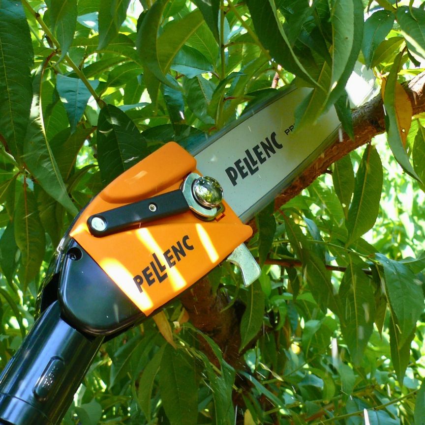 Køb din Pellenc Grensaks hos Nomaco